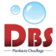 dbs logo transparent